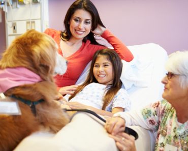 Getting Your Dog Certified as a Therapy Dog