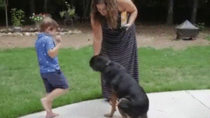 zeus-001gif