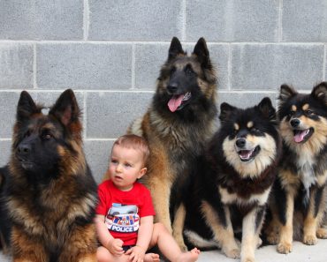 Dog’s Name