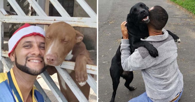 Brazilian Mailman Takes Adorable Selfies With Every Dog