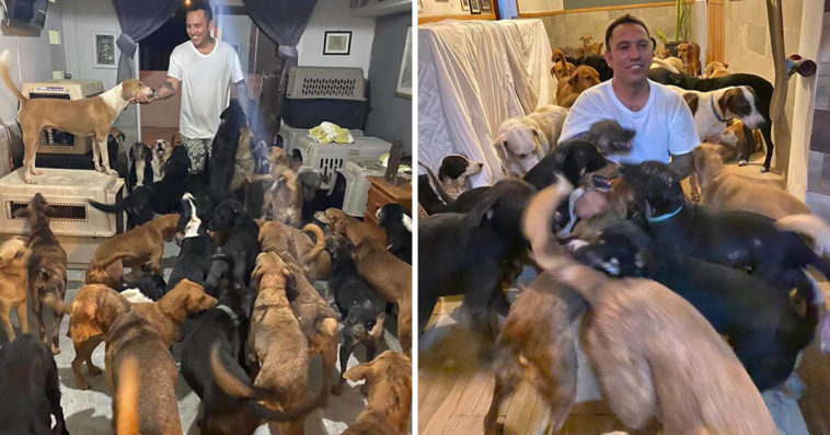 Man Brings 300 Dogs