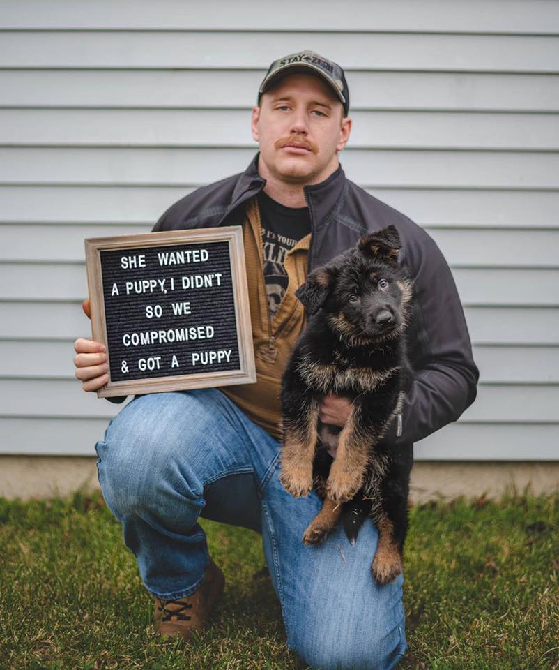 https://www.dogsaddict.com/wp-content/uploads/2020/11/German-Shepherd-Smile-9.jpg
