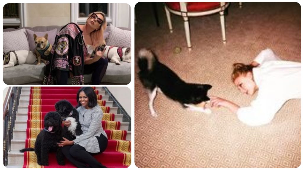 12 Famous Faces With Their Furry Friends