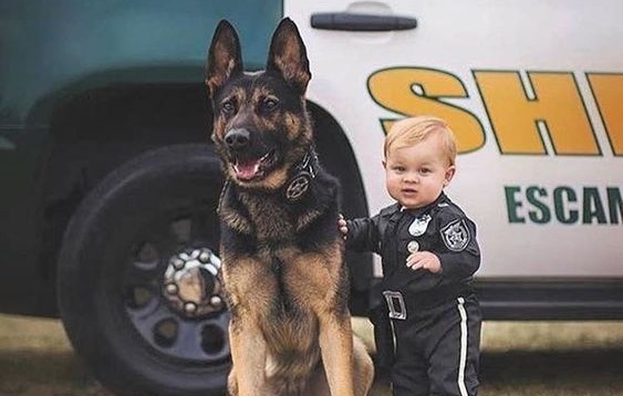 13 Pics That Prove German Shepherds Are The Best Babysitters In The World