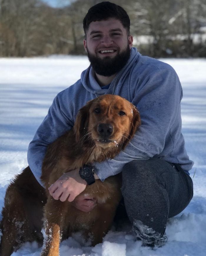 Golden Retriever,Proud,Stick,Collection,dog